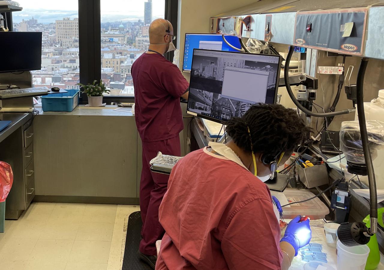 Anatomic Pathology Pathology