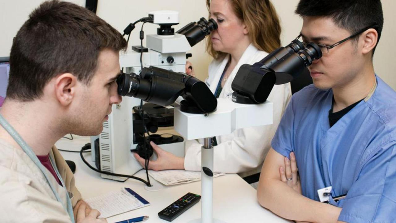 Oral & Maxillofacial Pathology Pathology