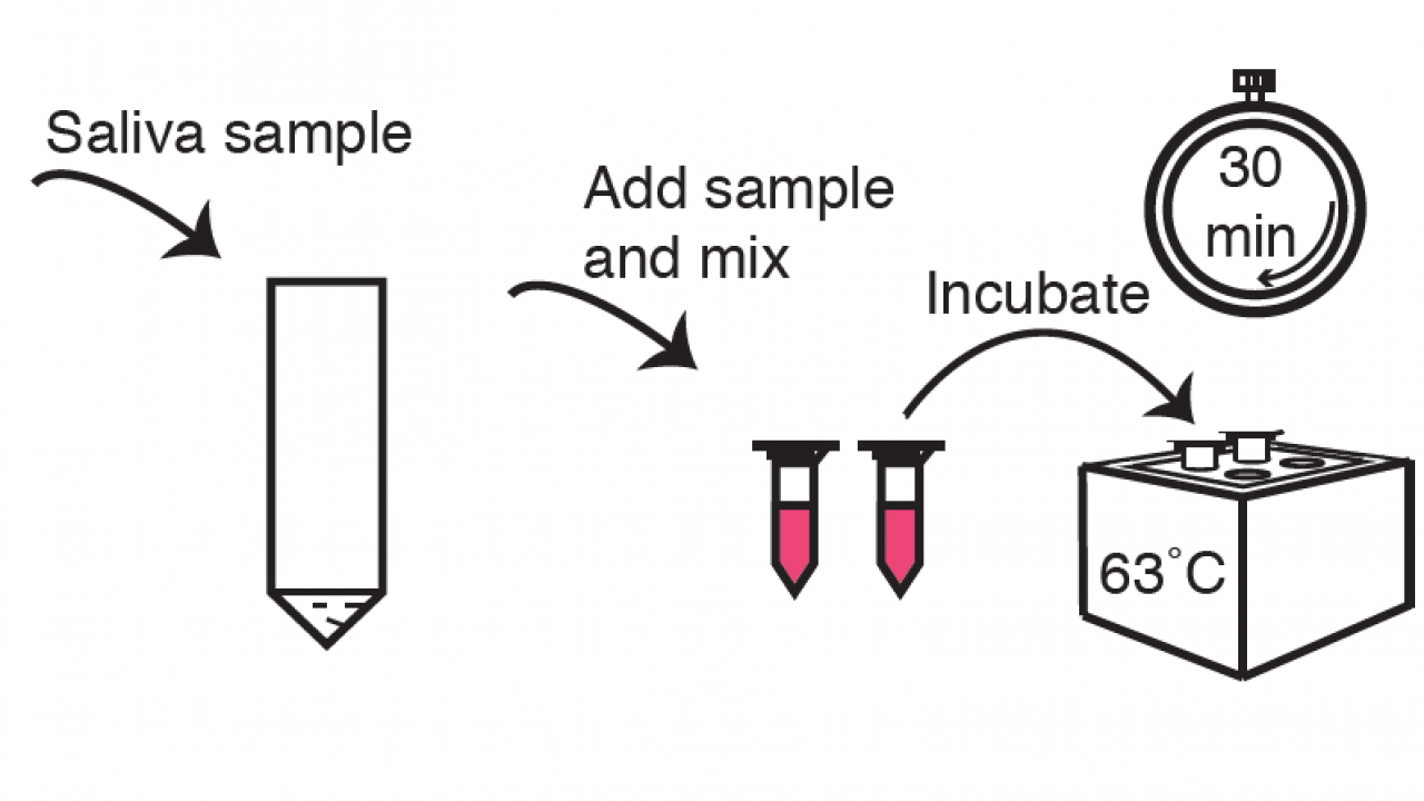 Infection Control Pathology