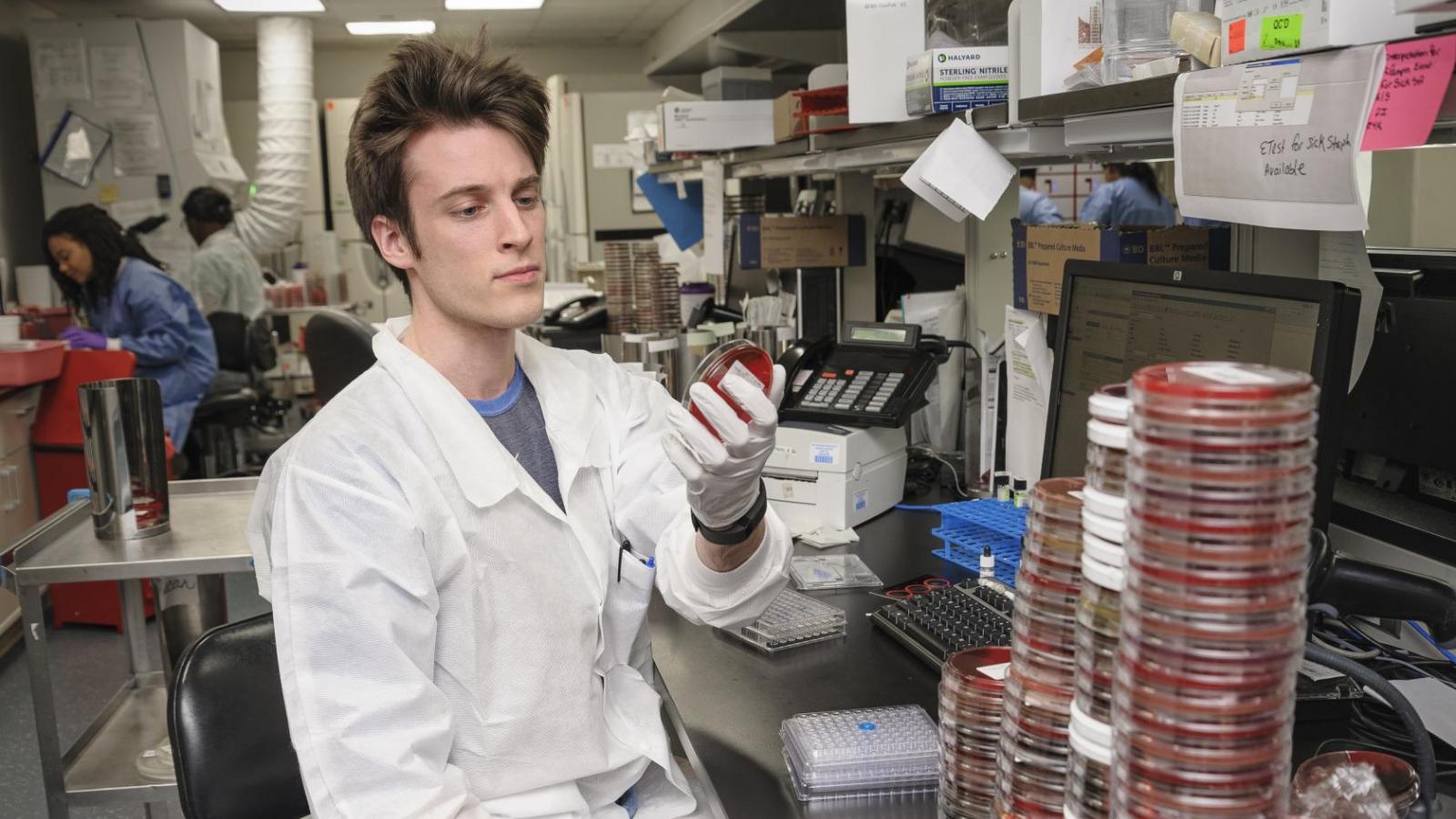 Clinical Microbiology Service Pathology