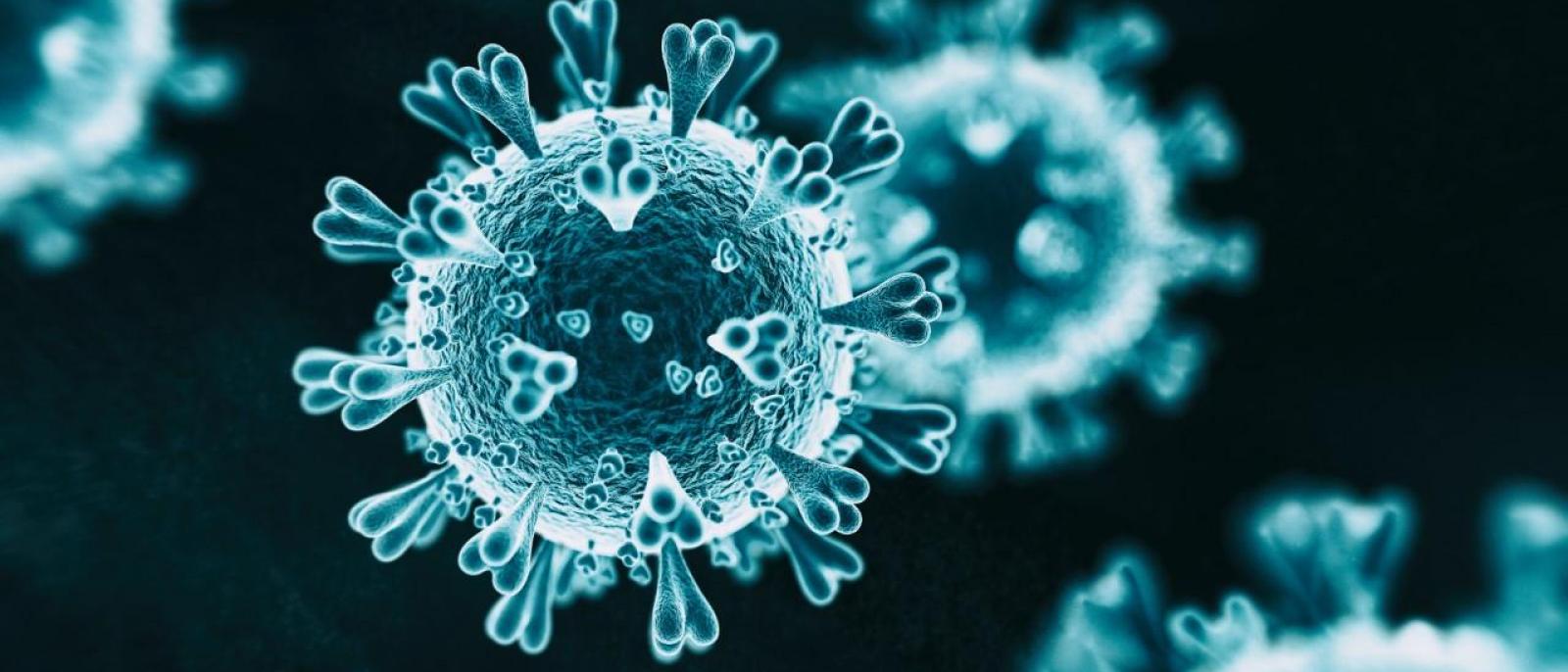 Wuhan Coronavirus. Hologram SEM view.