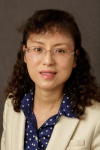 Qing R. Fan, PhD Profile Headshot