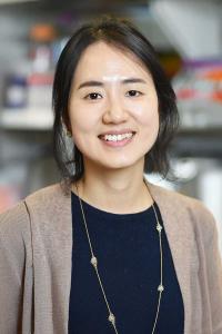 Minah Kim, PhD Profile Headshot