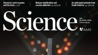 Science Magazine April 10 2020