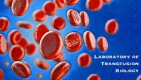 Laboratory of Transfusion Biology - CUMC Department of Pathology and Cell Biology