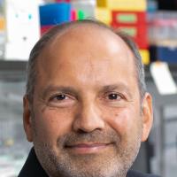 Alex J. Rai, PhD Profile Headshot