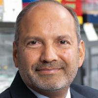 Alex J. Rai, PhD Profile Headshot