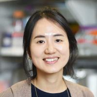 Minah Kim, PhD Profile Headshot