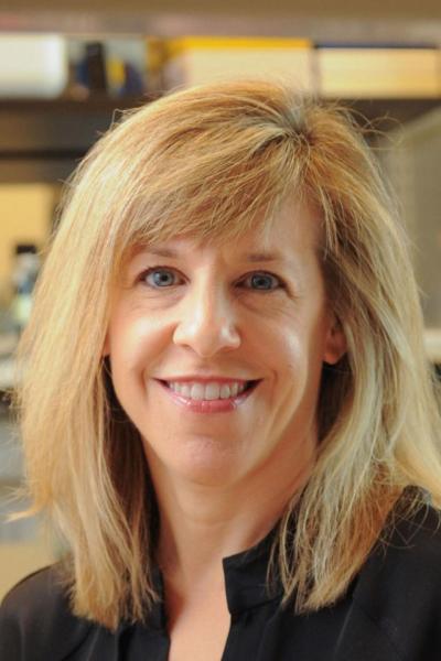 Lori Zeltser, PhD Profile Headshot