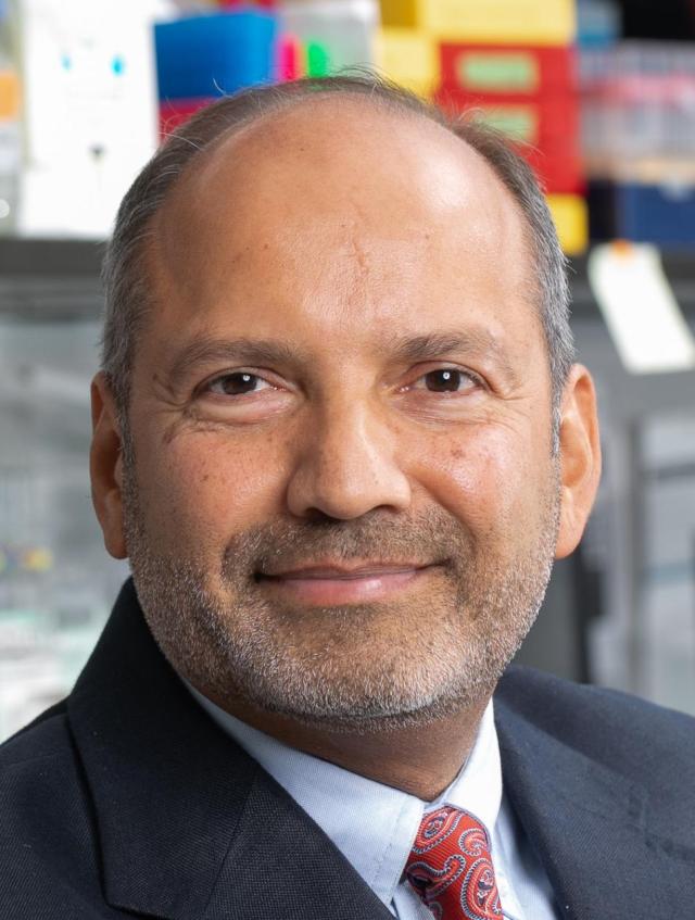 Alex J. Rai, PhD | Pathology